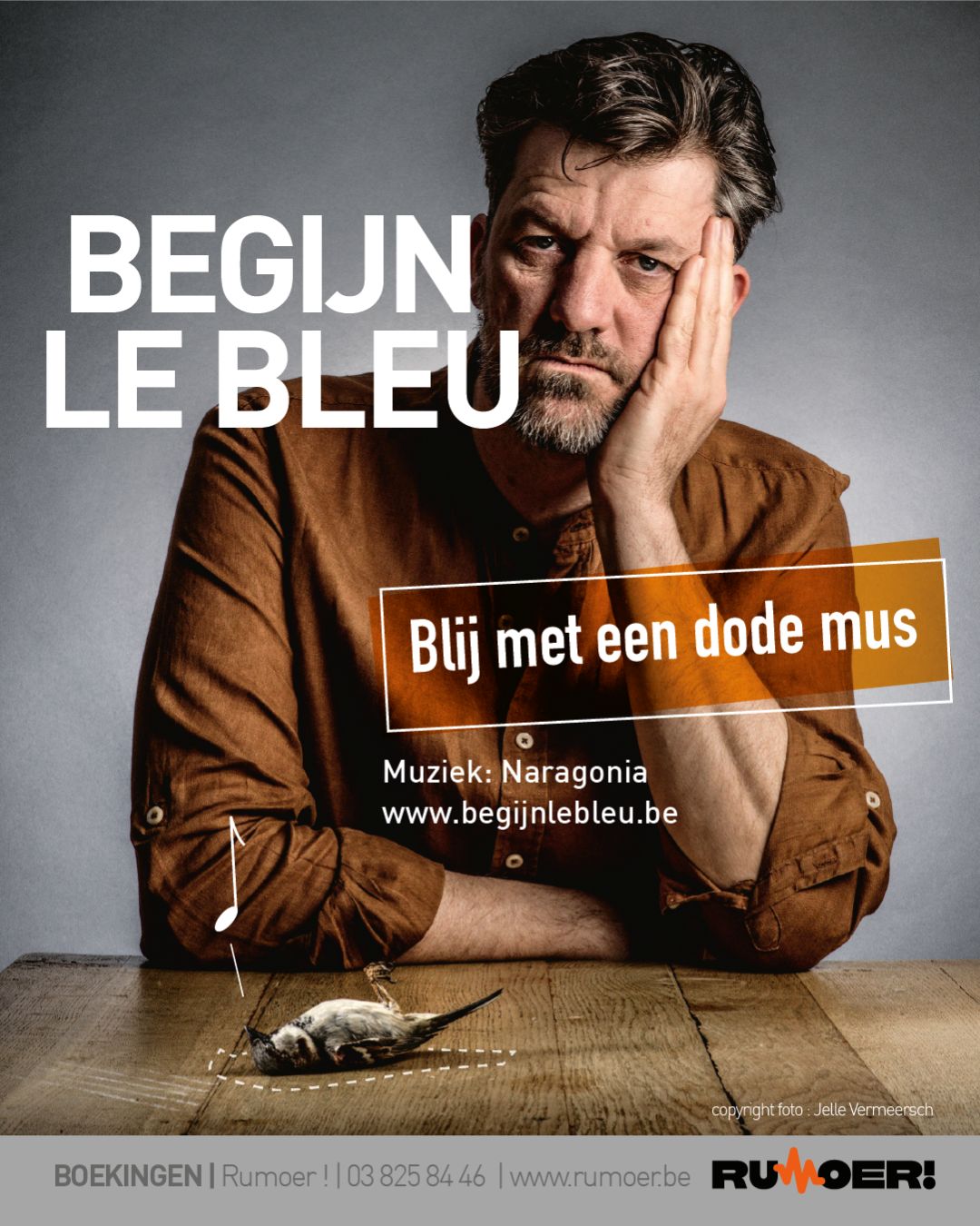 Blij met een dode mus staat in de steigers